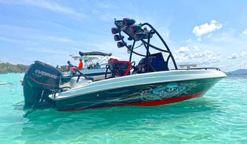 
								PROMARINE WAKE 21 full									