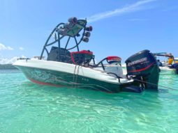 
										PROMARINE WAKE 21 full									