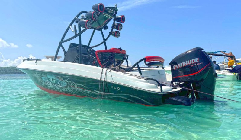 
								PROMARINE WAKE 21 full									