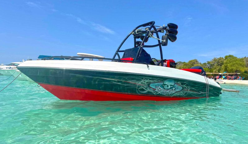 
								PROMARINE WAKE 21 full									