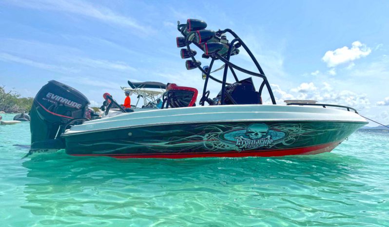 
								PROMARINE WAKE 21 full									
