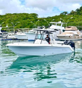 ROBALO OPEN R260 26