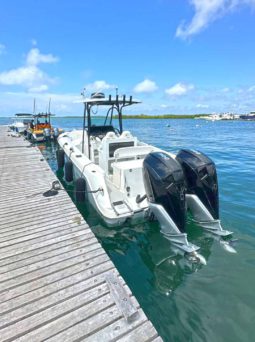 
										ROBALO OPEN R260 26 full									