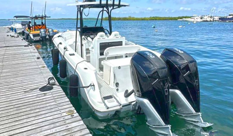 
								ROBALO OPEN R260 26 full									