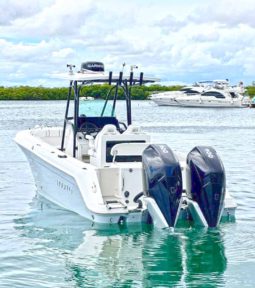 
										ROBALO OPEN R260 26 full									