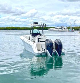 ROBALO OPEN R260 26