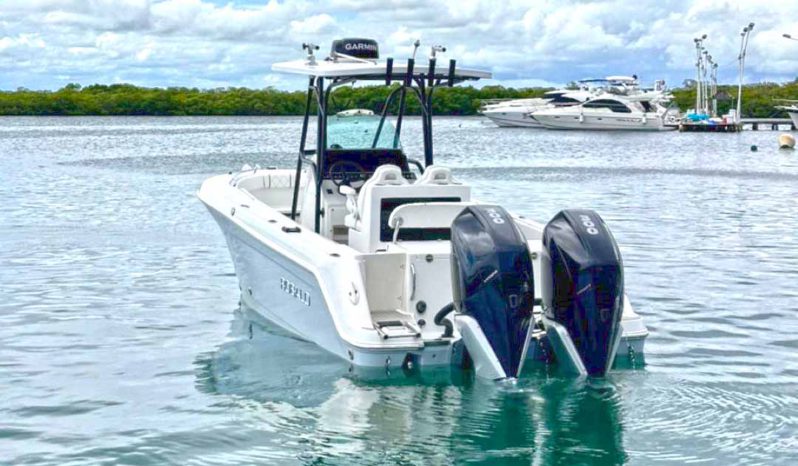 
								ROBALO OPEN R260 26 full									