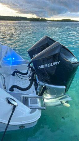 
										ROBALO OPEN R260 26 full									