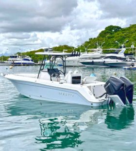 ROBALO OPEN R260 26
