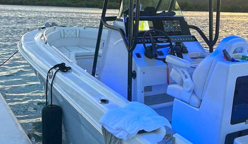 
								ROBALO OPEN R260 26 full									