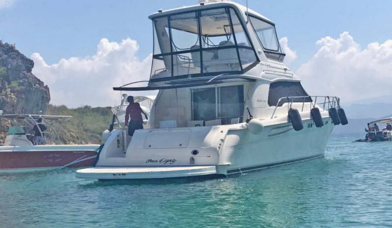 
								SEA RAY 48 full									