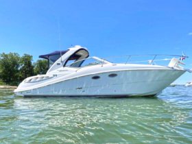 SEA RAY SUNDANCER 29