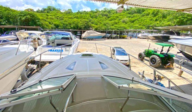 
								SEA RAY SUNDANCER 29 full									