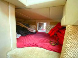 
										SEA RAY SUNDANCER 29 full									