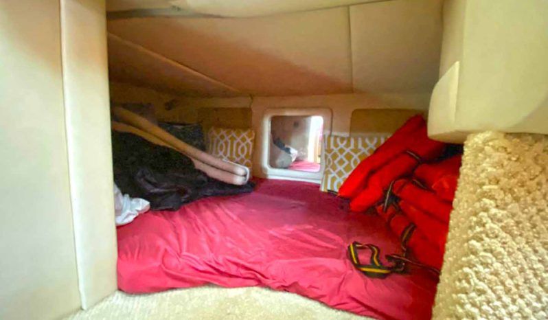 
								SEA RAY SUNDANCER 29 full									