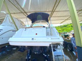 SEA RAY SUNDANCER 29