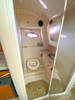 
										SEA RAY SUNDANCER 29 full									