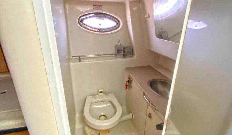 
								SEA RAY SUNDANCER 29 full									