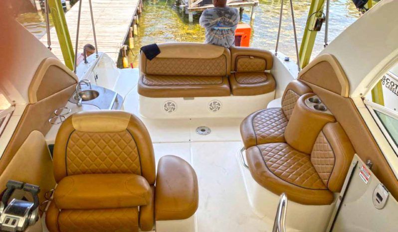 
								SEA RAY SUNDANCER 29 full									