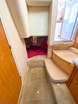 
										SEA RAY SUNDANCER 29 full									