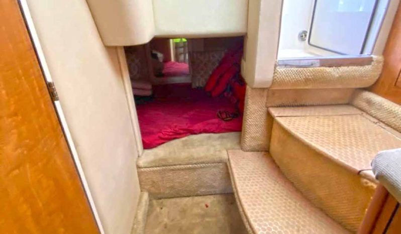 
								SEA RAY SUNDANCER 29 full									