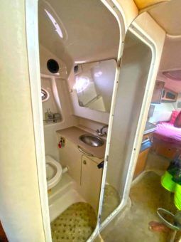 
										SEA RAY SUNDANCER 29 full									