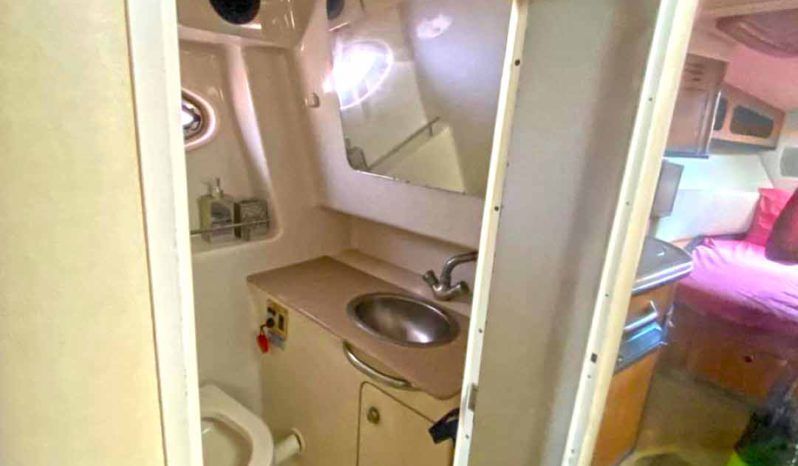 
								SEA RAY SUNDANCER 29 full									