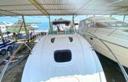 
										SEA RAY SUNDANCER 29 full									