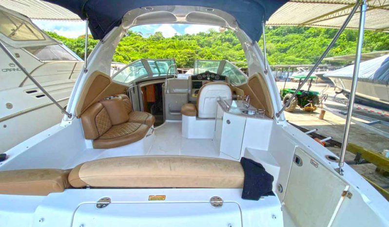 
								SEA RAY SUNDANCER 29 full									
