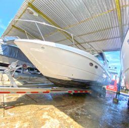 
										SEA RAY SUNDANCER 29 full									