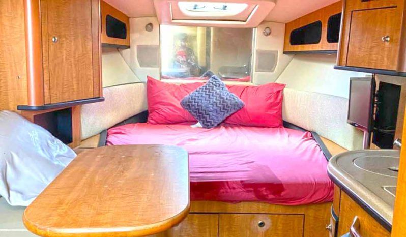 
								SEA RAY SUNDANCER 29 full									