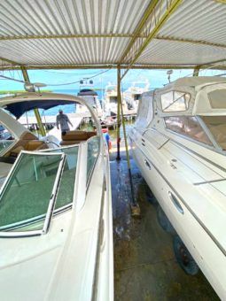 
										SEA RAY SUNDANCER 29 full									
