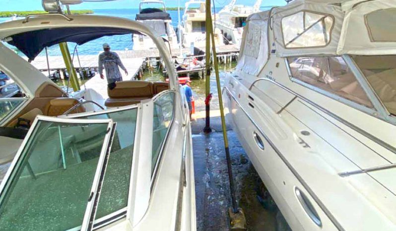 
								SEA RAY SUNDANCER 29 full									