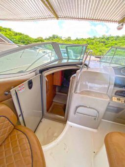 
										SEA RAY SUNDANCER 29 full									