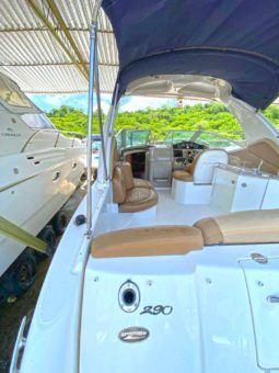 
										SEA RAY SUNDANCER 29 full									