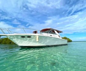 SEA RAY SUNDANCER 330 33
