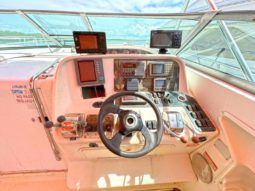 
										SEA RAY SUNDANCER 330 33 full									