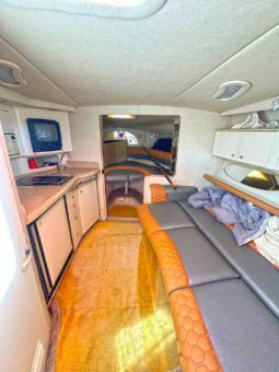
										SEA RAY SUNDANCER 330 33 full									
