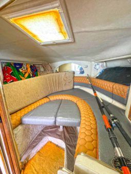 
										SEA RAY SUNDANCER 330 33 full									