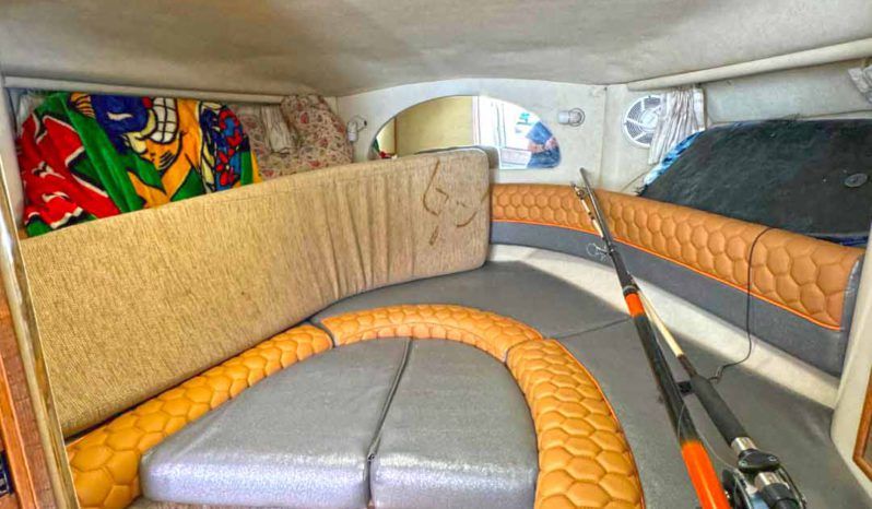 
								SEA RAY SUNDANCER 330 33 full									