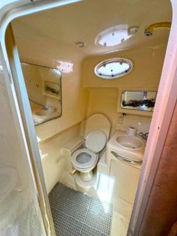 
										SEA RAY SUNDANCER 330 33 full									