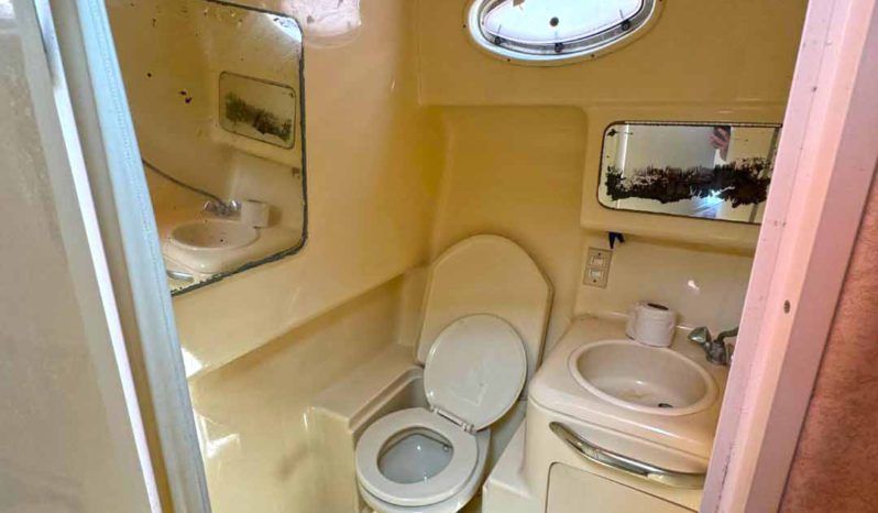 
								SEA RAY SUNDANCER 330 33 full									