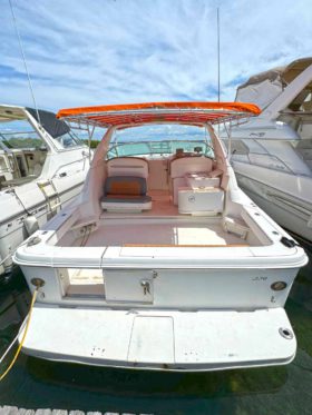SEA RAY SUNDANCER 330 33