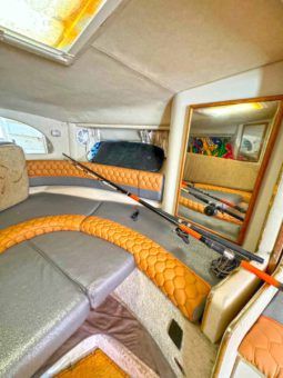 
										SEA RAY SUNDANCER 330 33 full									