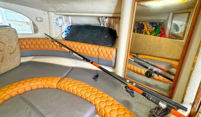 
								SEA RAY SUNDANCER 330 33 full									