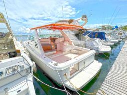
										SEA RAY SUNDANCER 330 33 full									