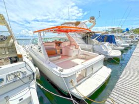 SEA RAY SUNDANCER 330 33