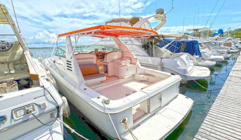 
								SEA RAY SUNDANCER 330 33 full									
