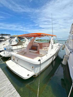 SEA RAY SUNDANCER 330 33