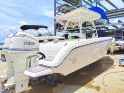 
										AQUANAUTI OPEN 24 full									